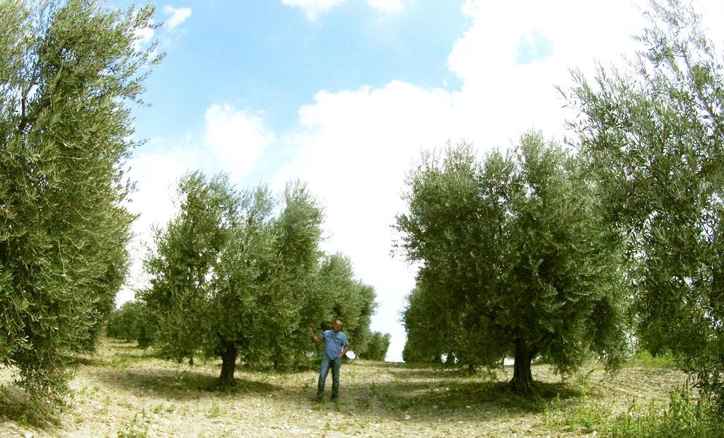 Aia Di Lazzaro Agriturismo Casalbore Buitenkant foto