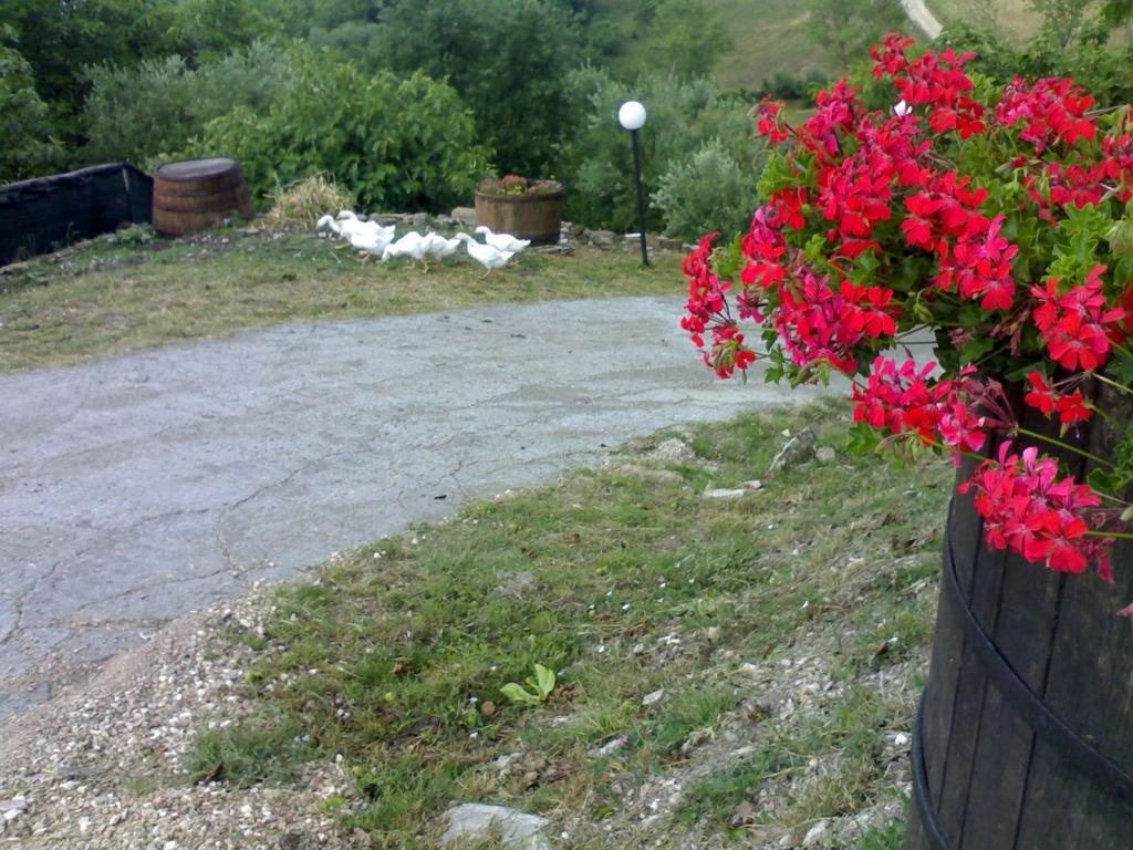 Aia Di Lazzaro Agriturismo Casalbore Buitenkant foto
